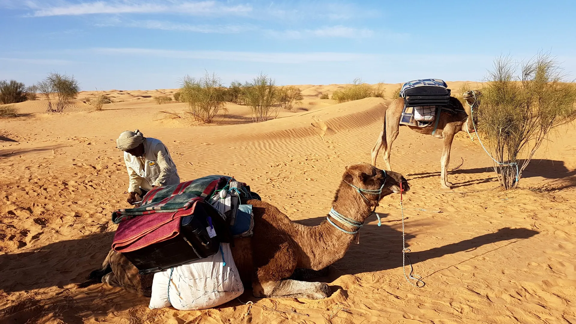 Voyage en famille sur les traces des nomades en Tunisie