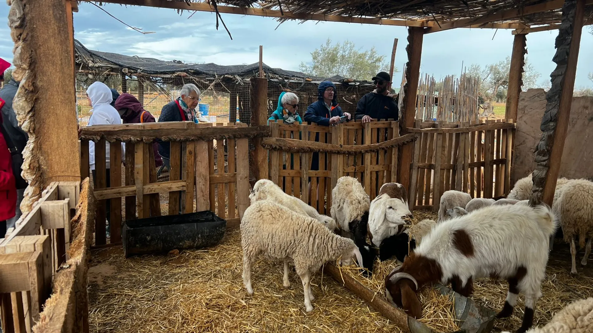 Sur les pistes de Djerba en calèche avec vos enfants - Image 4