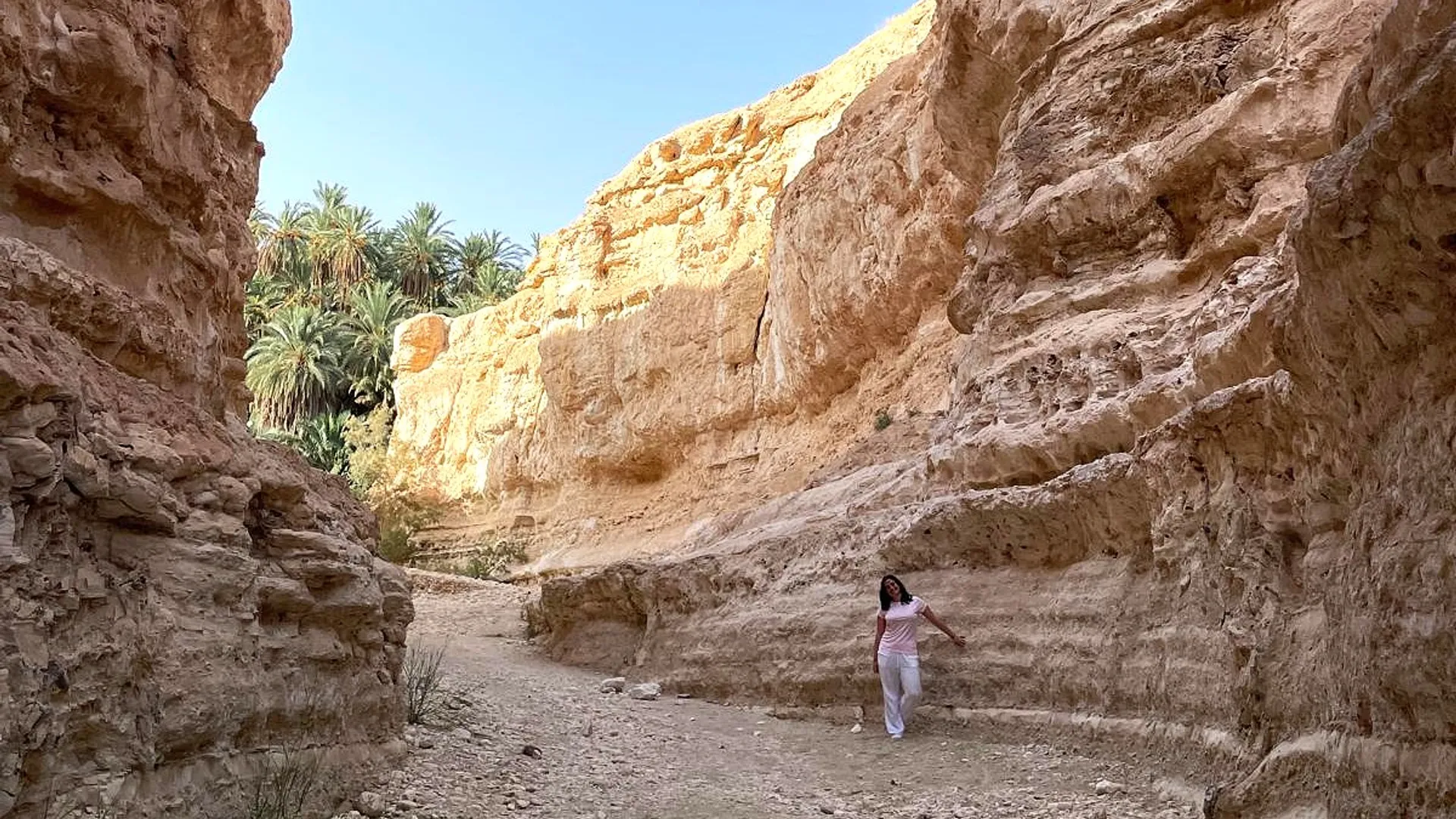 Autre Tunisie – Excursions et expériences sur mesure