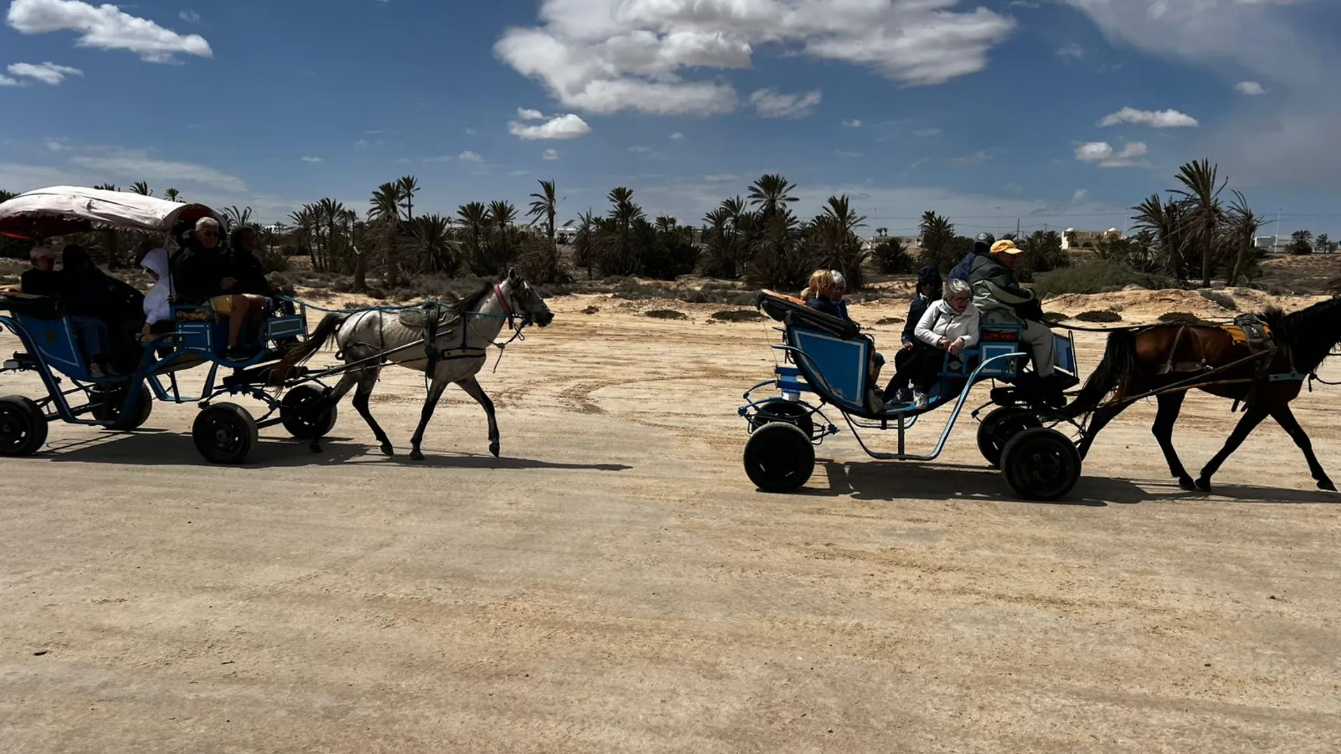 Sur les pistes de Djerba en calèche avec vos enfants - Image 3