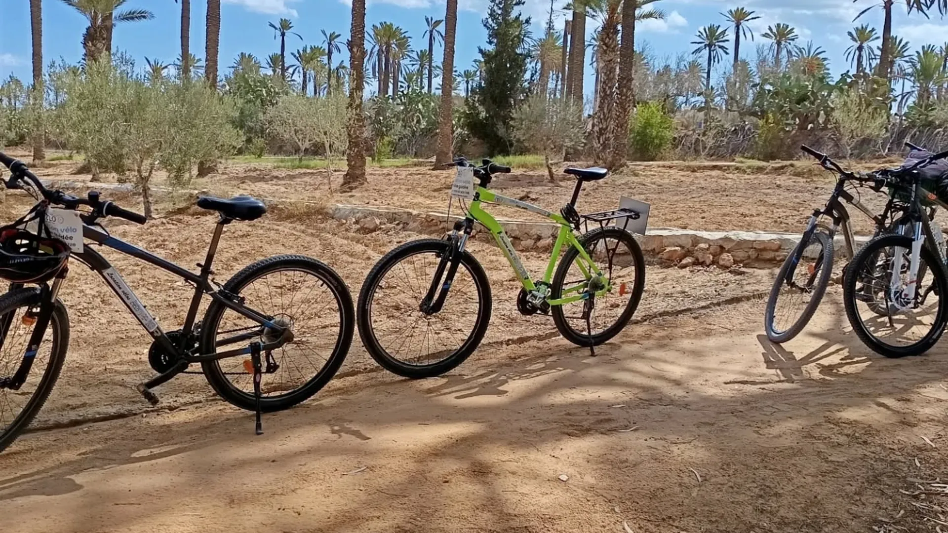 Vélo & VTT en Tunisie – Aventure douce au cœur de l’île - Image 1